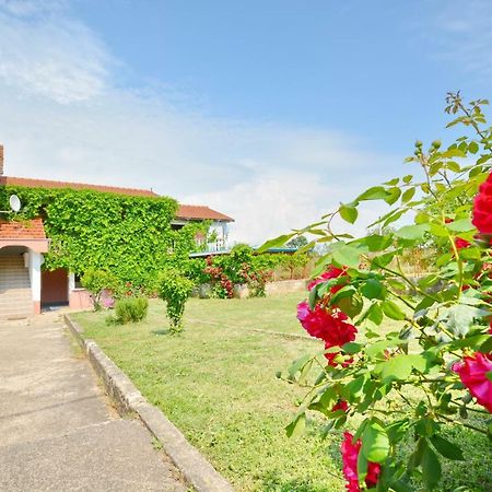 Apartmani Maca Sikovo Экстерьер фото